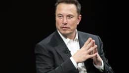 Elon Musk Tells Tesla Bull Dan Ives to ‘Shut Up’ After Analyst Calls for Company Oversight of the CEO