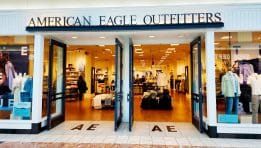 AEO Performance Review Q4 2024: Trends, Challenges, and Forecasts