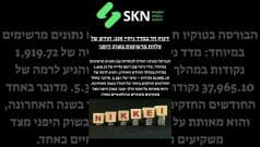 זינוק חד במדד ניקיי 225: חודש של עליות מרשימות בשוק היפני