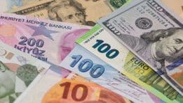 Foreign Currencies in the Investment Portfolio: Global Exposure, Risk Diversification, and Growth Potential
