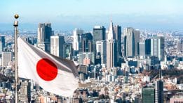 Japan Faces Economic Contraction: GDP Shrinks 0.2% in Q1, Annualized Drop of 0.7%