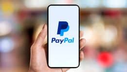 PayPal Stock Performance Analysis: A Multi-Year Perspective
