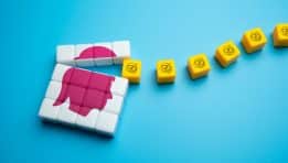 The Influence of Psychology on Investment Decisions: How to Avoid Biases?