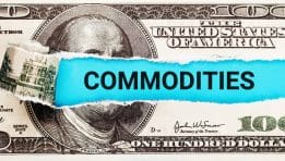 Commodities Market in 2025: Wheat Steadies, Sugar Plummets – No Justification for Consumer Price Hikes