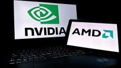 Nvidia, AMD, Other Chip Stocks Rise on Hopes China Export Restrictions Could Ease