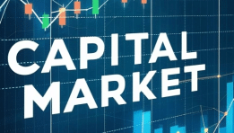 Manchester United Stock and Sports Stocks: An Investment of Emotion and Value