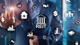 Dynex Capital Inc.: Quarterly Results Reveal Market Pressures and Aggressive Investment Strategy
