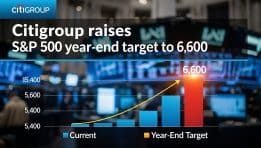 CITIGROUP RAISES S&P 500 YEAR-END TARGET TO 6,600