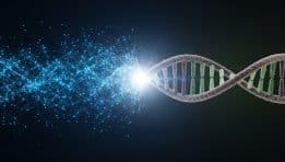 Sam Altman’s Brain Chip Venture Is Mulling Gene Therapy Approach