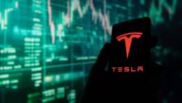 With the Federal Reserve Signaling Rate Cuts, Is Tesla’s Rally a Harbinger for the Entire Mega-Cap Tech Sector?