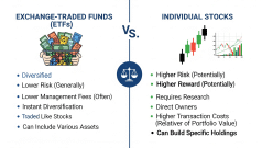 ETFs vs. Individual Stocks: Which Is Better for Building Wealth?