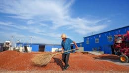 China Approves Brazilian Sorghum Imports as Trade Diversification Accelerates