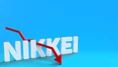 Tokyo Stocks Rally Sharply: Nikkei Closes at All-Time High