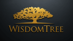 SKN | Are Small-Cap Earnings Strategies Regaining Their Edge? A Closer Look at WisdomTree’s EES Fund