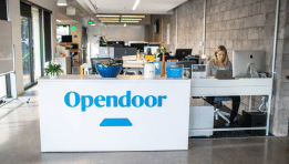 SKN | Opendoor’s Stock Bounce: Early Recovery Signal or Another False Dawn for Digital Real Estate?