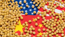SKN | Will China’s Return to the U.S. Soybean Market Shift the Outlook for Global Agriculture?