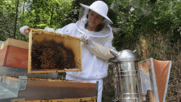 SKN | How Did Reality Catch Up With Ÿnsect After $600 Million in Funding?