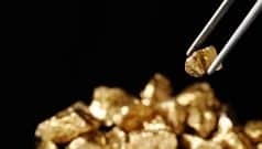 SKN | Is the GDXJ Signaling a New Cycle for Junior Gold Miners?