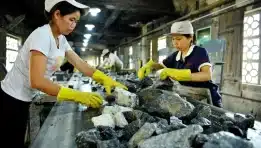 SKN | Is China’s Mineral Dominance Triggering a Strategic Breakout for Western Magnet Makers?