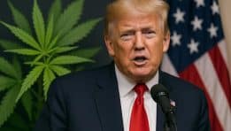 SKN | Will Trump’s Expected Marijuana Reclassification Ignite a New Cannabis Boom?