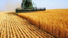 SKN | Is Wheat Stabilizing or Setting Up for Further Declines as Global Supply Pressures Persist?