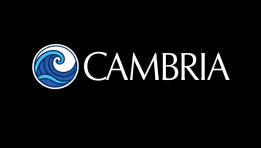 SKN | Cambria Shareholder Yield ETF Jumps as Investors Rotate Toward Cash-Return Strategies