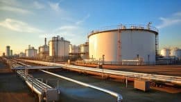 SKN | Which Energy Stocks Could Benefit as a Major Winter Storm Grips the U.S.?