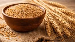 SKN | Can Hybrid and GMO Seeds Revive U.S. Wheat? A High-Stakes Bet on Agricultural Innovation