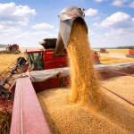 SKN | Are Food Prices About to Surge? War Disruptions Send Wheat, Palm Oil, and Corn Markets Higher