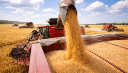 SKN | Are Food Prices About to Surge? War Disruptions Send Wheat, Palm Oil, and Corn Markets Higher