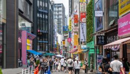 SKN | South Korea’s Equity Landscape Under Scrutiny: What Investors Should Know About EWY