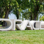 SKN | Oracle Earnings Ahead: How Much Traders Expect ORCL Stock to Move After the Results