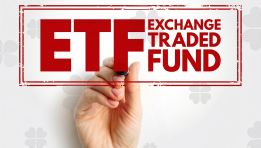 SKN | SCHD vs VIG Which Dividend ETF Offers Better Income and Long Term Growth Potential