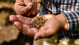 SKN | Gold ETF Gains Momentum — Is iShares Gold Trust (IAU) Reflecting Renewed Safe-Haven Demand?