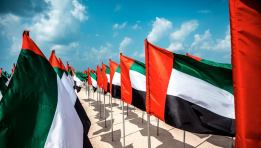 SKN | UAE’s Potential OPEC Exit: What It Could Mean for Trade Ties with Saudi Arabia and Regional Markets