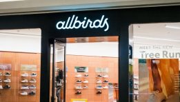 SKN | Allbirds Surges 600% as It Abandons Footwear for AI Pivot
