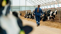 SKN | Fonterra Acknowledges “Grass-Fed” Label Could Mislead Consumers Following Greenpeace Legal Challenge