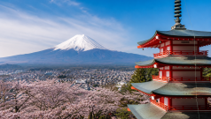 SKN | Is Japan’s $2.2 Billion Loan the First Step in a Strategic $550 Billion Bet on the U.S. Economy?