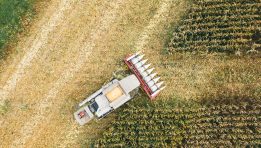 SKN | Are Corn and Wheat Entering a New Rally Phase as US-China Agricultural Trade Expands Beyond Soybeans?