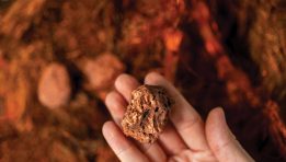 SKN | Copper Hits Fresh Record High as AI Demand and Supply Risks Tighten Market