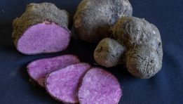 SKN | How the Global Demand Surge for Ube Is Reshaping a Niche and Opaque Food Supply Chain