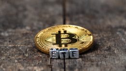 SKN | Can Bitcoin ETF Momentum Sustain Amid Shifting Crypto Market Dynamics?