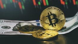 SKN | Bitcoin Rebounds Above $62,000 as Crypto Market Stabilizes After Sharp Selloff