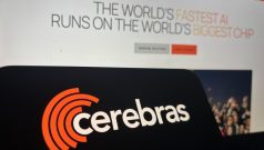 SKN | Cerebras Stock Drops After Earnings as CEO Says Margin Outlook Was Misinterpreted