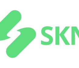 SKN Finance Portal | Home Page