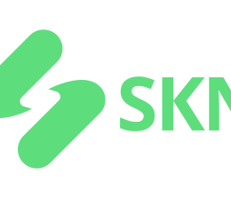 SKN Finance Portal | Home Page