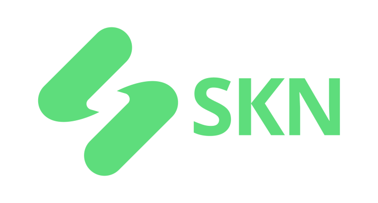 SKN | S&P 500’s Biggest Winners Reveal the Market’s Growing Bet on AI Infrastructure