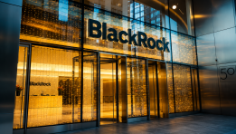 SKN | BlackRock Boosts Shareholder Returns as Investors Assess Valuation Following Recent Pullback