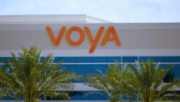 SKN | Voya Financial’s Earnings Performance Highlights Shifting Trends Across Custody Bank Stocks