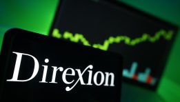 SKN | How Leveraged Technology Exposure Amplifies Market Moves: Understanding the Direxion Daily Technology Bull 3X Shares ETF